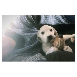 Meet your Posher, Melissa